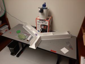 Foam core Y-maze on table with Mr. Coffee box.