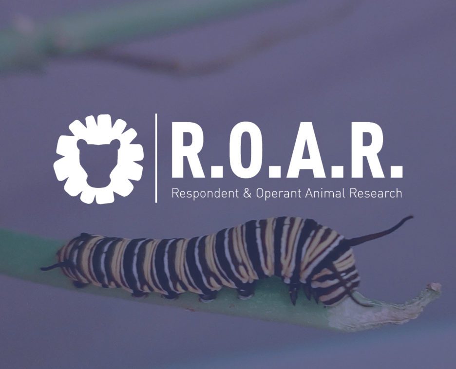 Caterpillar on a leaf and the letters R.O.A.R.