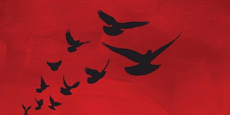 Birds fly in silhouette against a red background from the cover of "Decolonial Psychology."