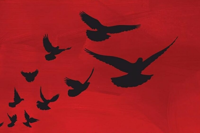Birds fly in silhouette against a red background from the cover of "Decolonial Psychology."