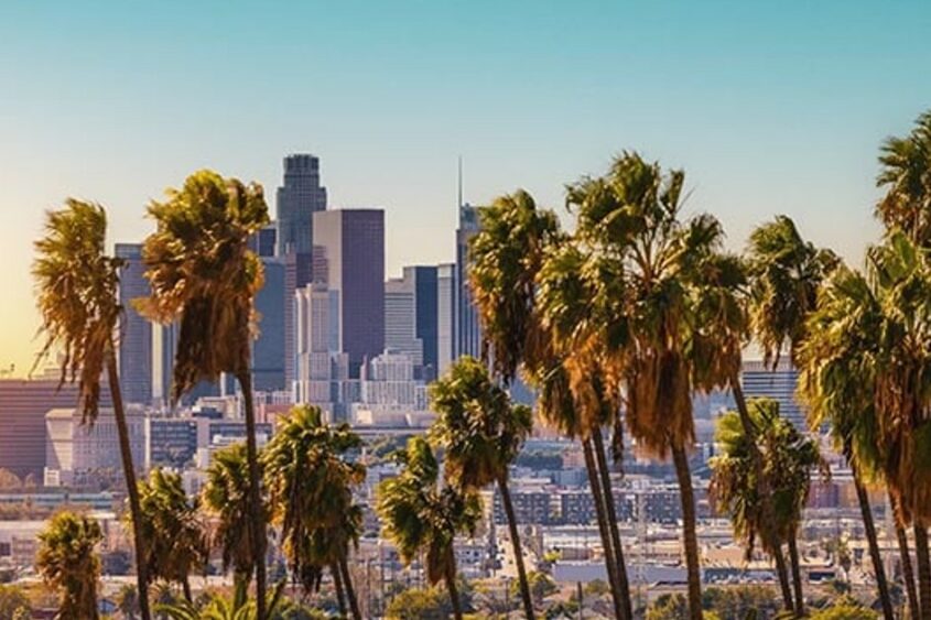 The skyline of Downtown Los Angeles looms in the distance behind a row of palm trees.