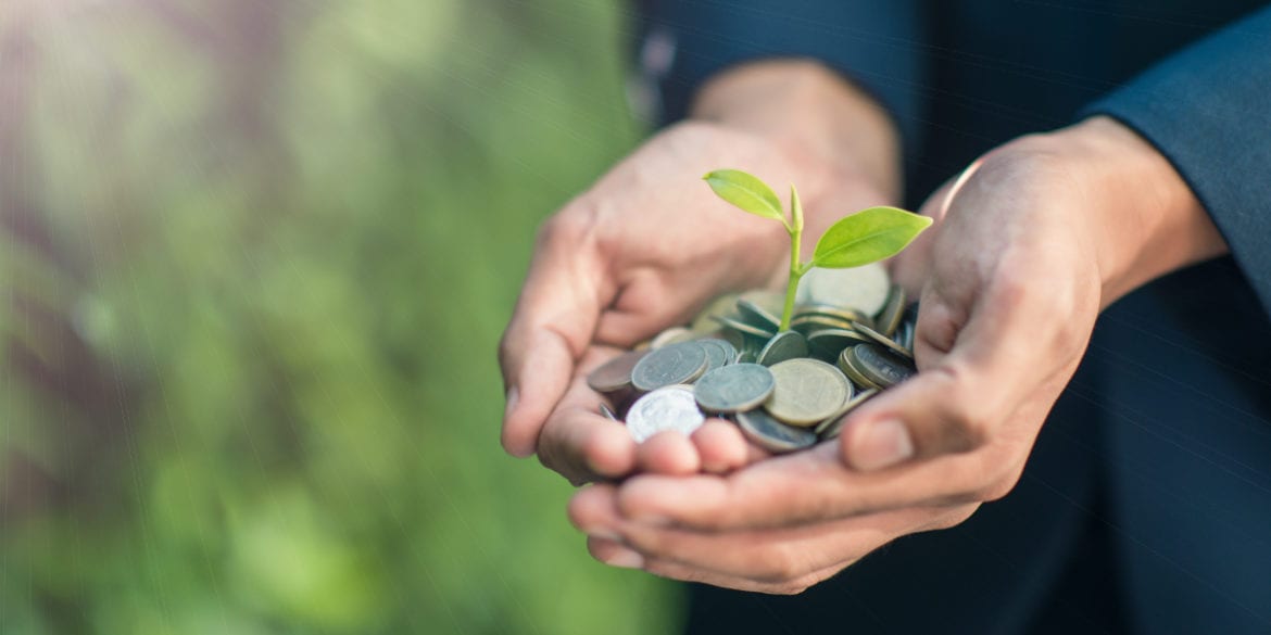 hands holding coins and a flower