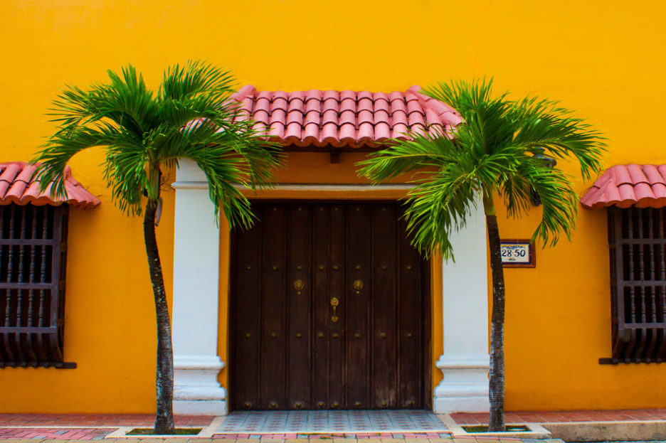 green palm trees beside wooden door on a yellow building