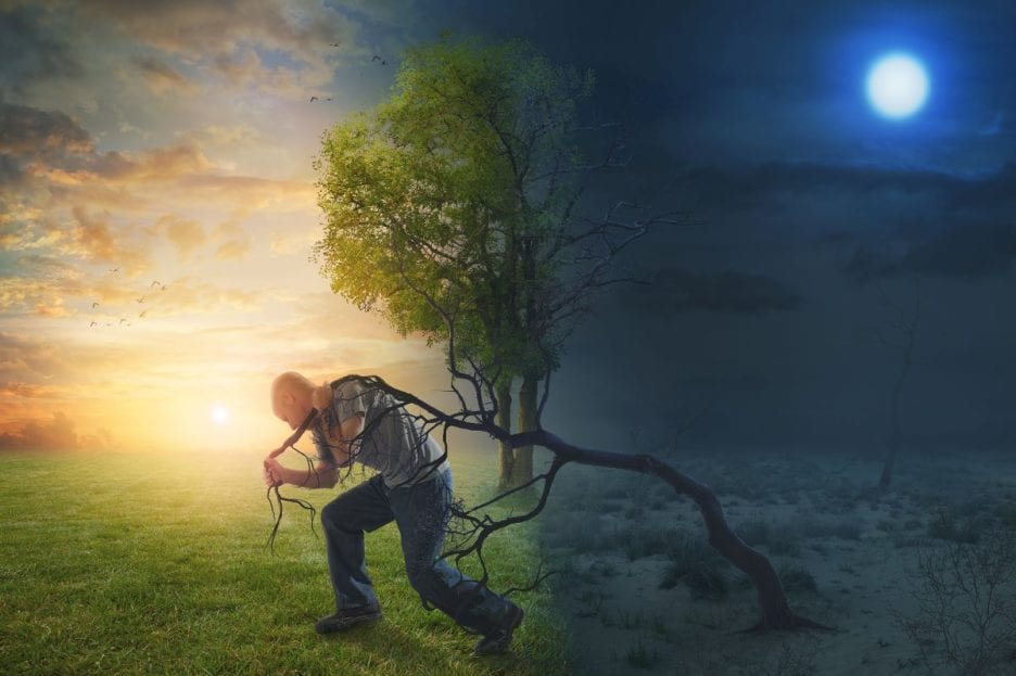 man pulling tree from the ground